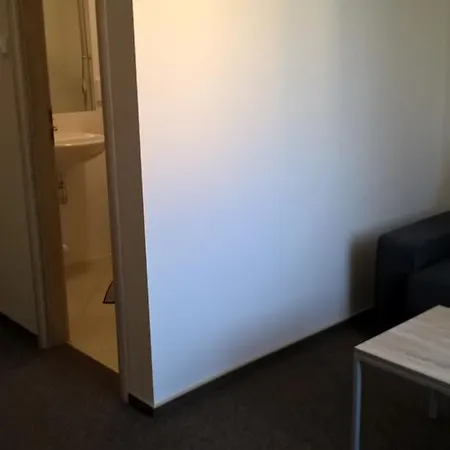 艾尔蒙特克斯酒店 3* 俄斯特拉发